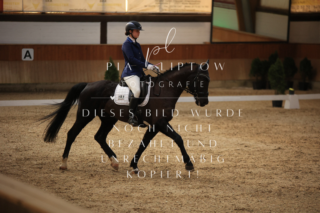 IMGT2197 | pl-fotografie