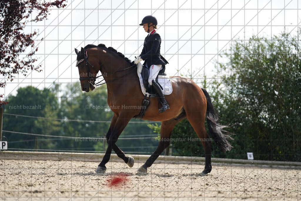 20230826-FAH06041 | Forstinning, 2023, Dressurturnier, Turniersportbilder, Turnierfotografen Bayern, Fotoagentur Herrmann, Reitsportfotografie, Turnierbilder