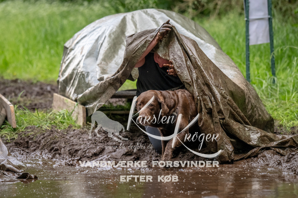 1536_ZZ94383-Bearbeitet | kk-dogfotos