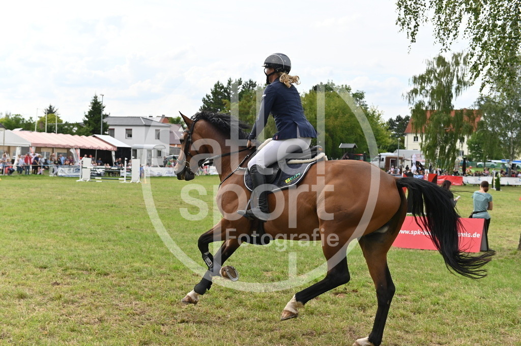 DSC_3754 | sattelsport - Realisiert mit Pictrs.com