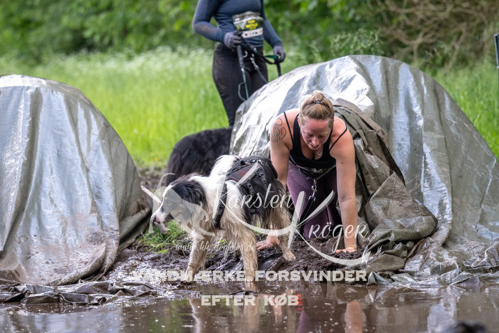 1331_ZZ91370 | kk-dogfotos