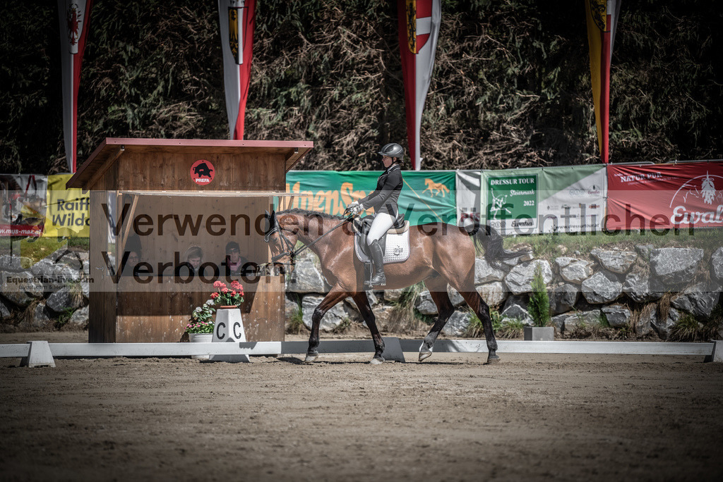 DSC_0407 | equestrian-live-com