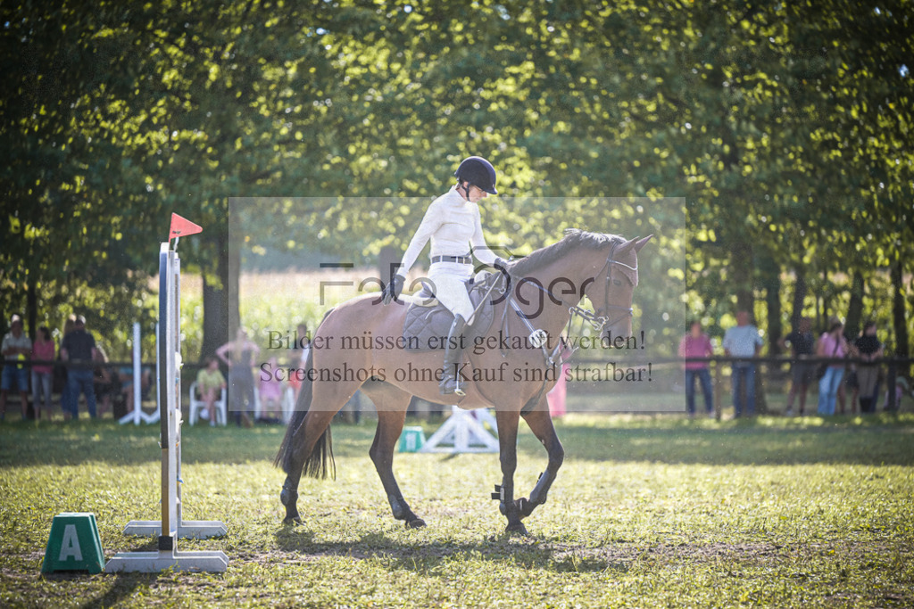 DOS_0263 | Entdecke hochwertige Reitturnierfotos von Foto Oger. Professionell, emotional und authentisch – jetzt Lieblingsmomente im Shop bestellen.Deutschlandweite Turnierfotografie. - Realisiert mit Pictrs.com