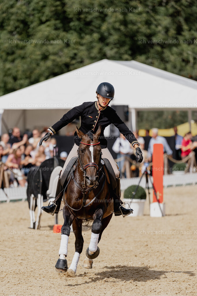 Virginie12FHC2025-3080 | working equitationturnier fotograf videograf stoibphotography marixx film working equitation deutschland reitsport turnierfotografie eventfotografie equestrian events