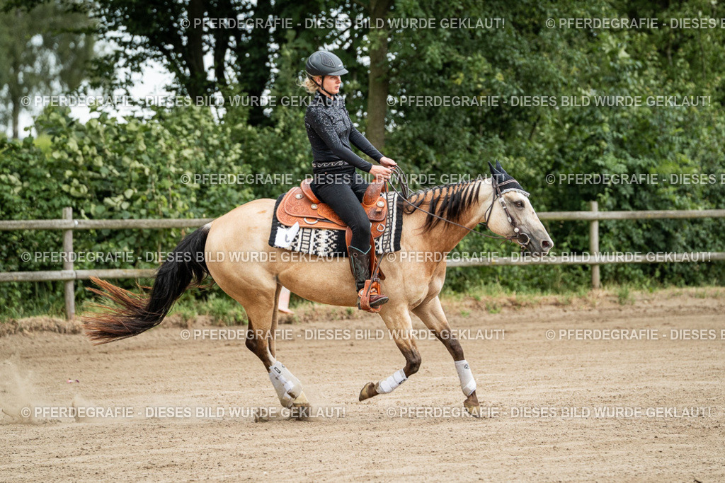 DSC04727 | Pferdegrafie