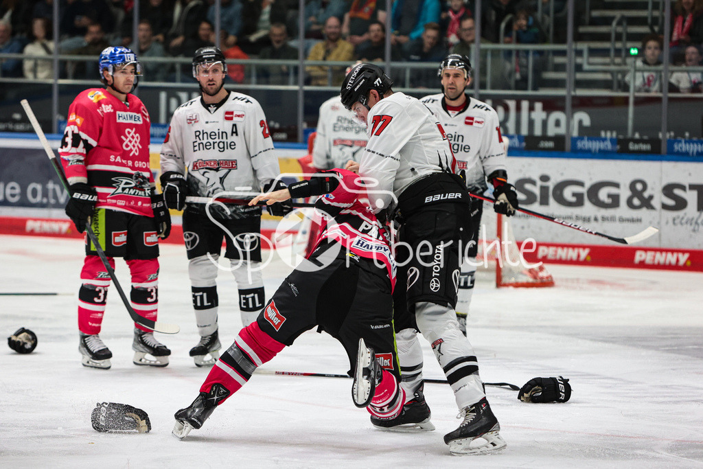 Augsburger Panther - Koelner Haie  | Alexander ROACH (KEC #77) und Adam Payerl (AEV #11) haben einen Kampf auf dem Eis / Fight / Boxing / Boxen / Kaempfen / Kämpfen