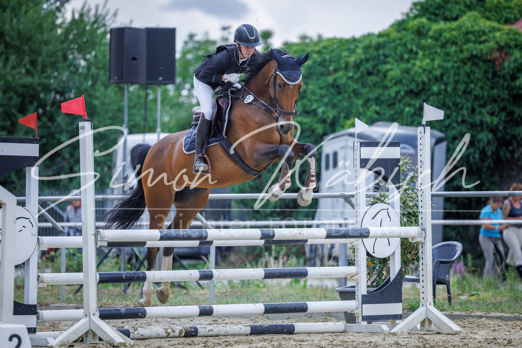 20260705-_3LI4569 | Tierfotografie Pferde, Hunde, Katzen, Haustiere.
Turnierfotografie Reitturniere, Reiten, Springreiten, Dressur in Hanau, dem Main-Kinzig-Kreis und dem Rhein-Main- Gebiet um Frankfurt