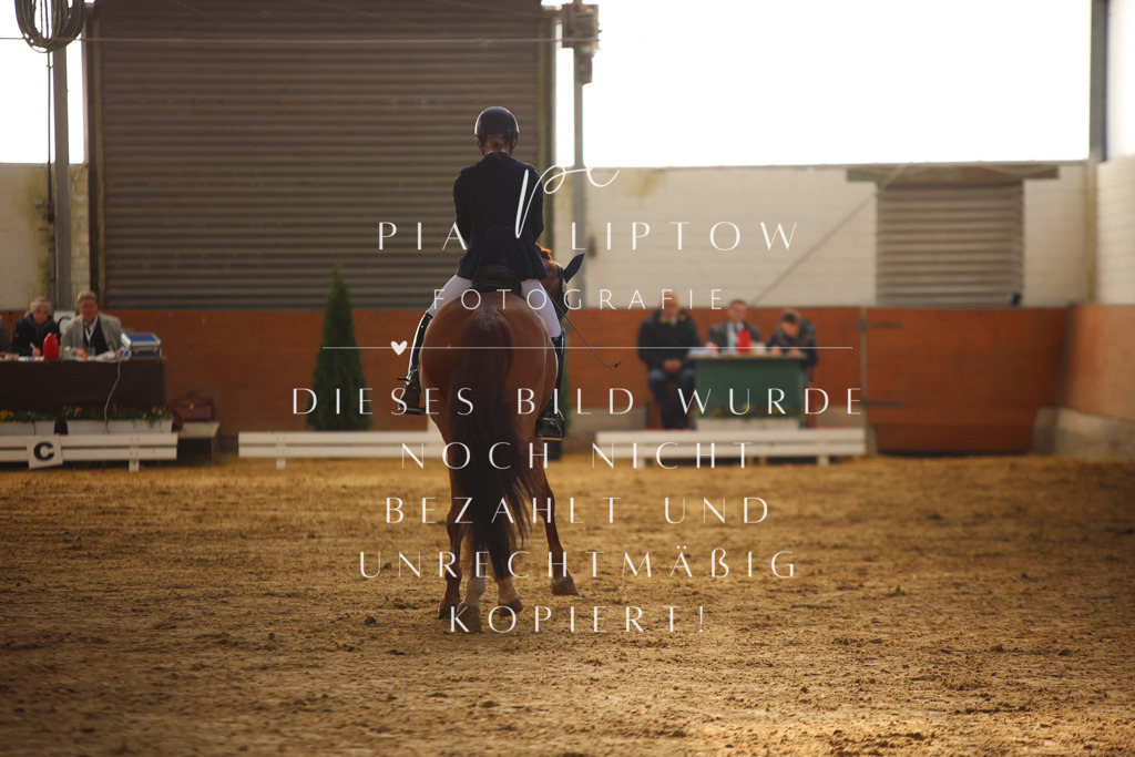 IMGT9743 | pl-fotografie