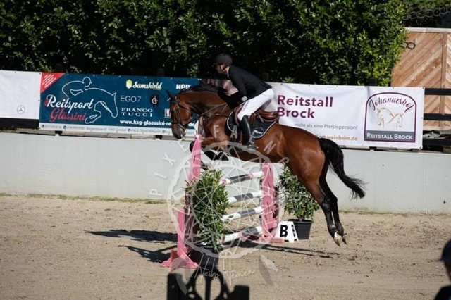 2B4A0416 | pixelfaenger - Realisiert mit Pictrs.com