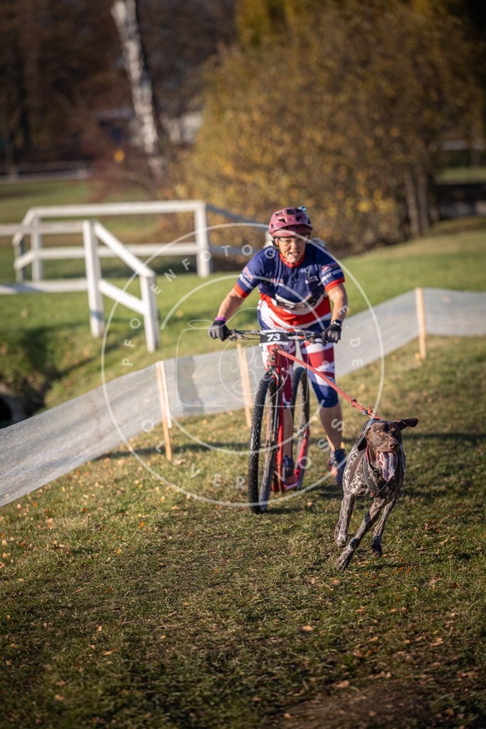 CaniXpix_DV3A1321 | Hundefotografie, Tierfotograf, Pfotenfotografie, Fotoshooting Hund, Hunde Portrait, Hundesport, Hundeportraits, Heideshooting, Hunde, Sportfotograf, Hundefotograf, Turnierhundsport, THS,  - Realisiert mit Pictrs.com