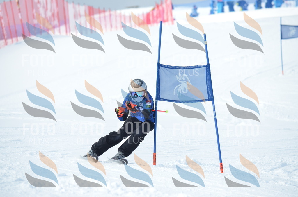 D8887 | holidayphoto