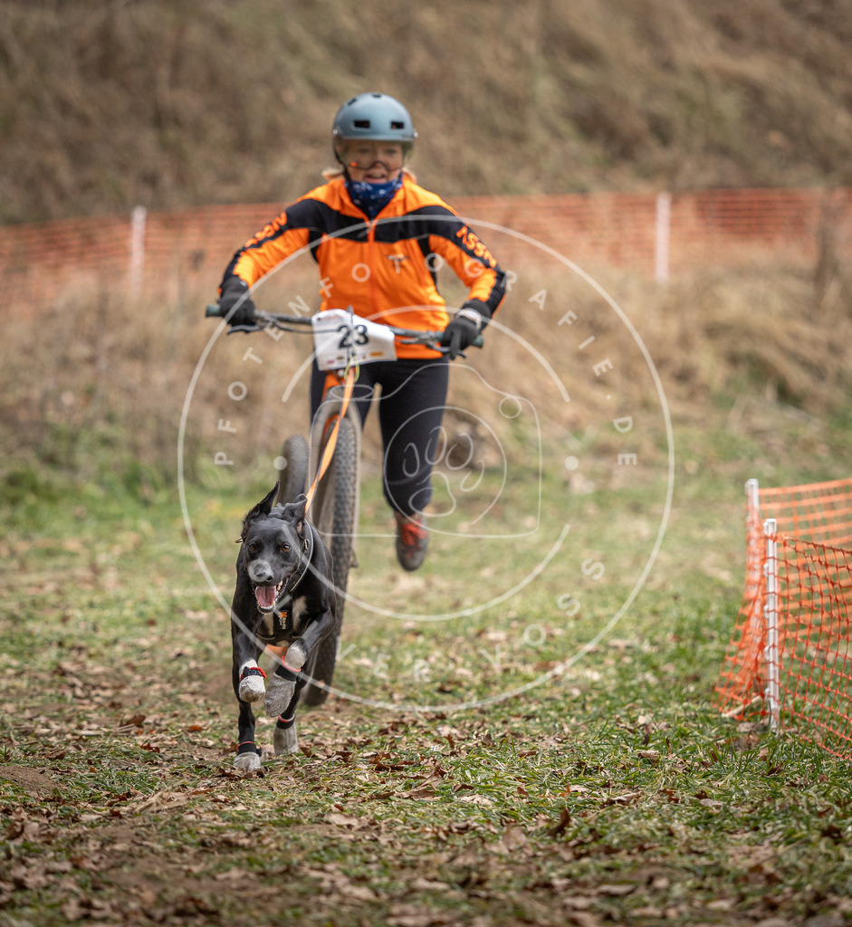 Pfotenfotografie_DV3A7264 | Hundefotografie, Tierfotograf, Pfotenfotografie, Fotoshooting Hund, Hunde Portrait, Hundesport, Hundeportraits, Heideshooting, Hunde, Sportfotograf, Hundefotograf, Turnierhundsport, THS,  - Realisiert mit Pictrs.com