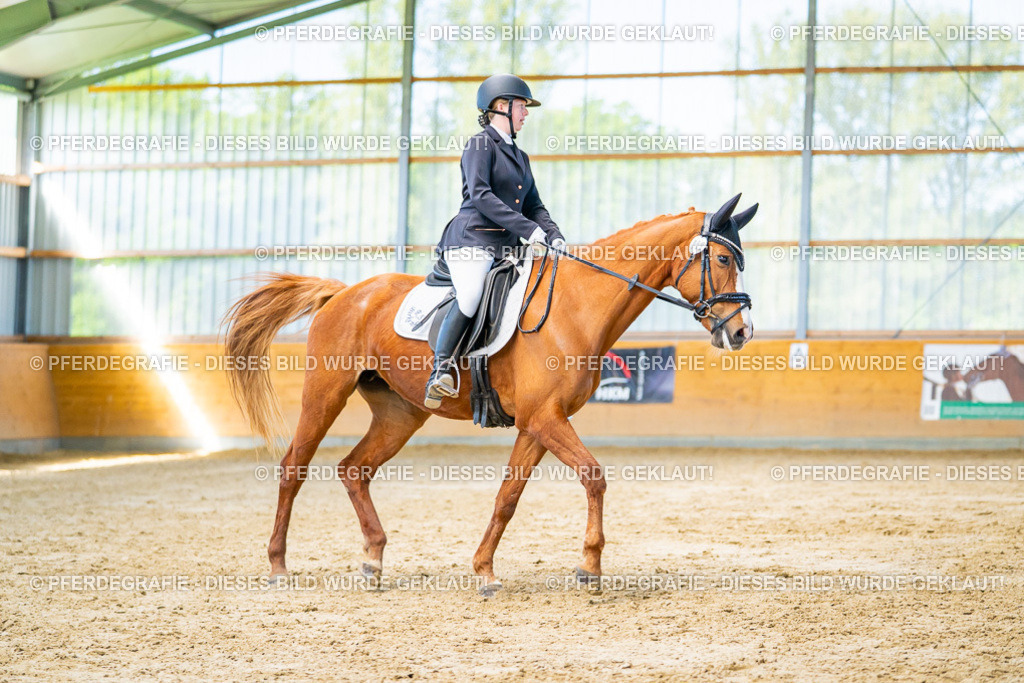 DSC07044 | Pferdegrafie