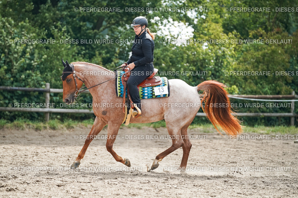 DSC04352 | Pferdegrafie