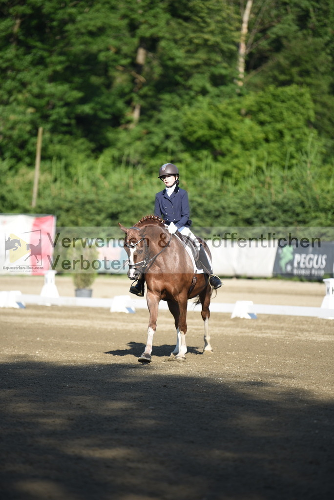 DSC_6790 | equestrian-live-com