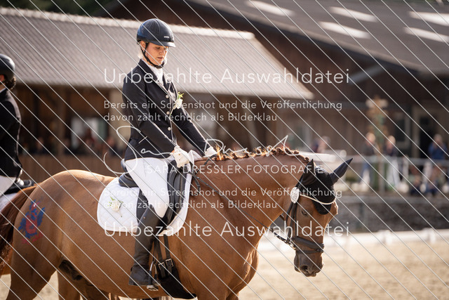 SD_OED_08885 | saradresslerfotografie - Realisiert mit Pictrs.com