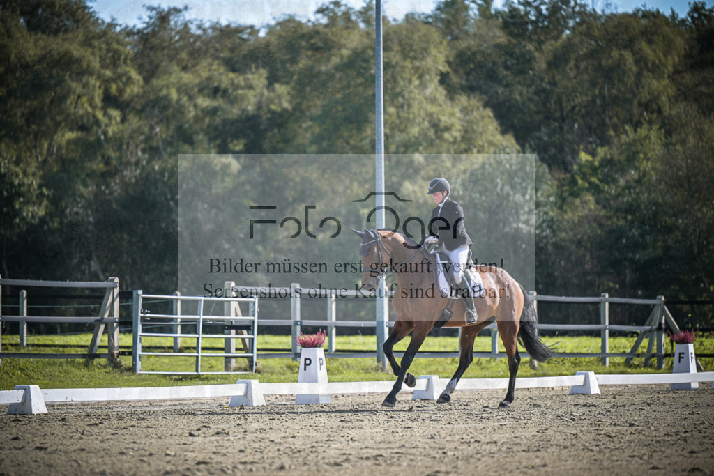 DOS_1476 | Entdecke hochwertige Reitturnierfotos von Foto Oger. Professionell, emotional und authentisch – jetzt Lieblingsmomente im Shop bestellen.Deutschlandweite Turnierfotografie. - Realisiert mit Pictrs.com