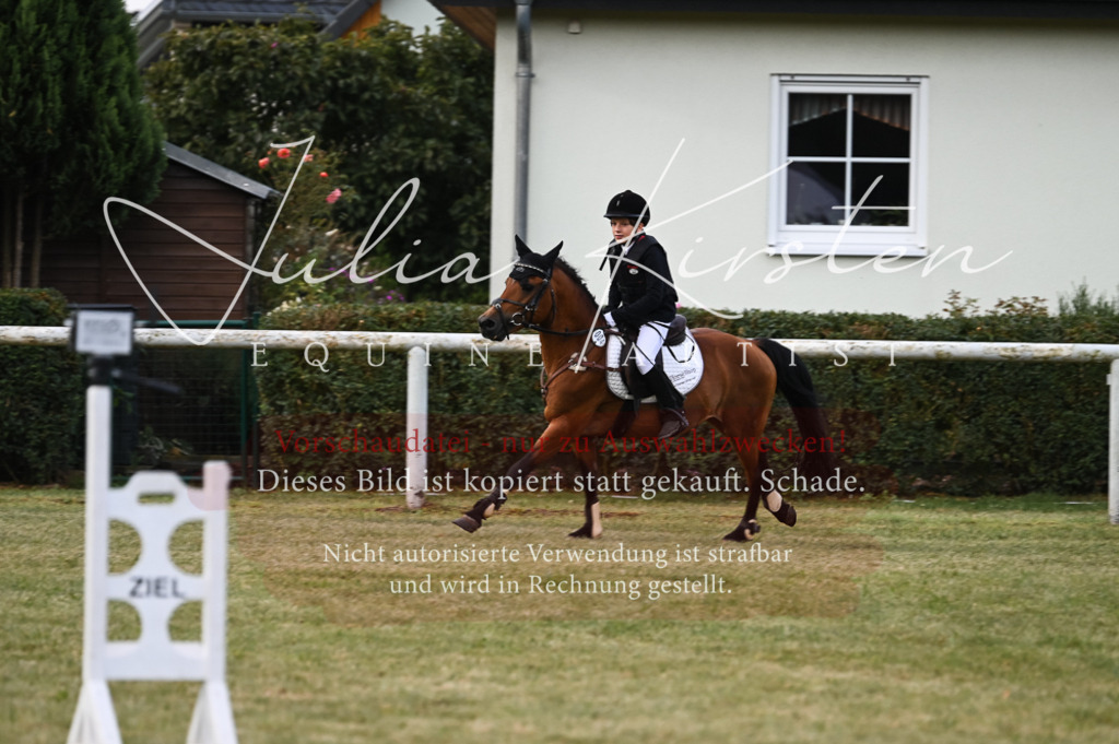 DSC_5558 | Pferde- und Turnierfotografie in Westsachsen. Pferdeportraits, Auftragszeichnungen und intuitive Kunst.