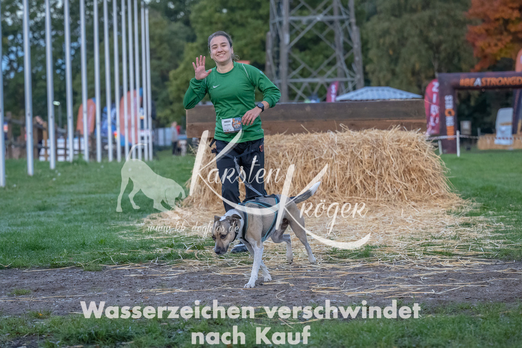 0804_ZZ94182-Bearbeitet | kk-dogfotos
