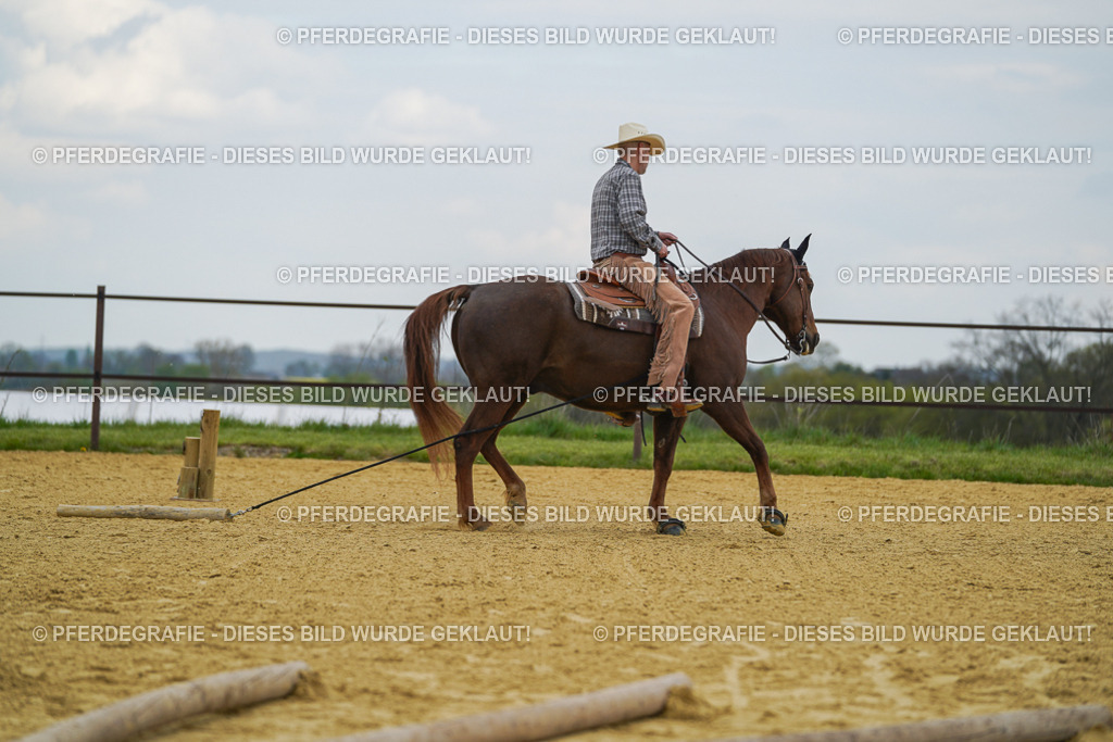 DSC06832 | Pferdegrafie