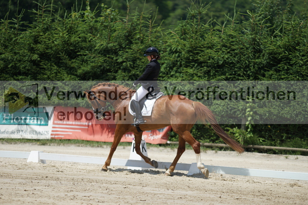 DSC04896 | equestrian-live-com