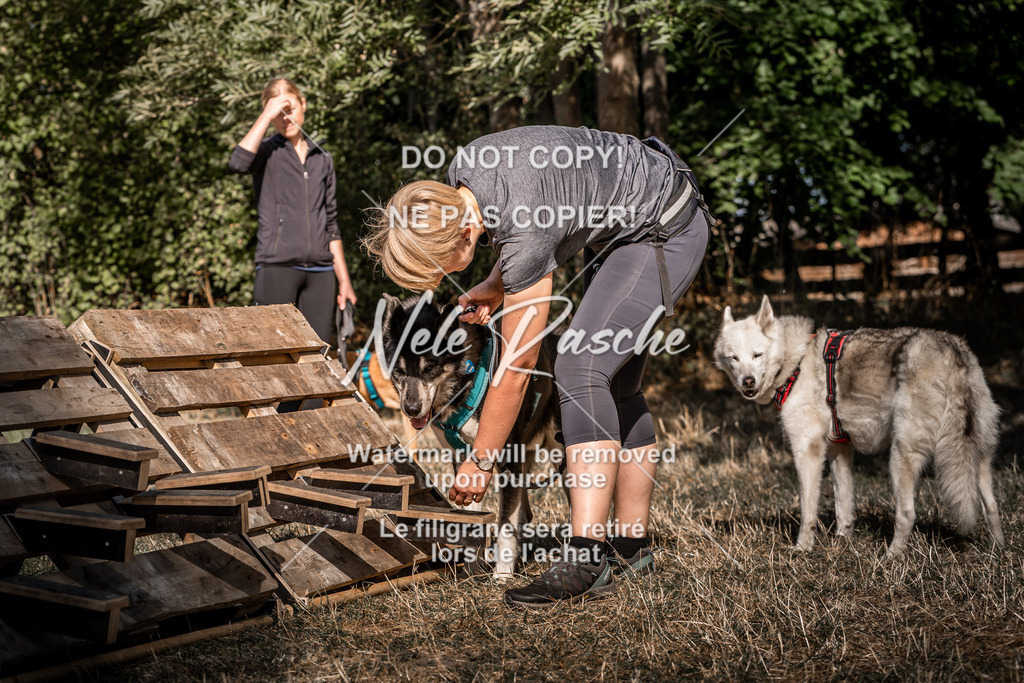nelerasche_slaw24So_237 | nelerasche