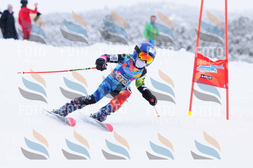 C2881 | holidayphoto