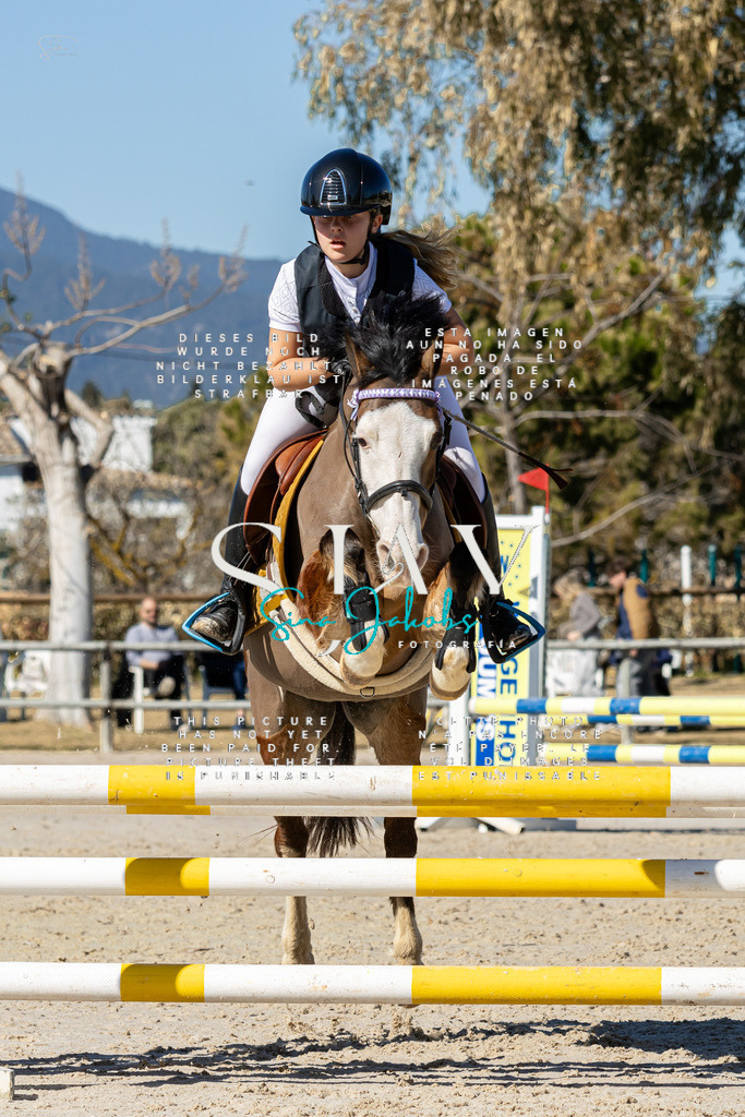 IMG_9153 | s-jay-photography - Realisiert mit Pictrs.com