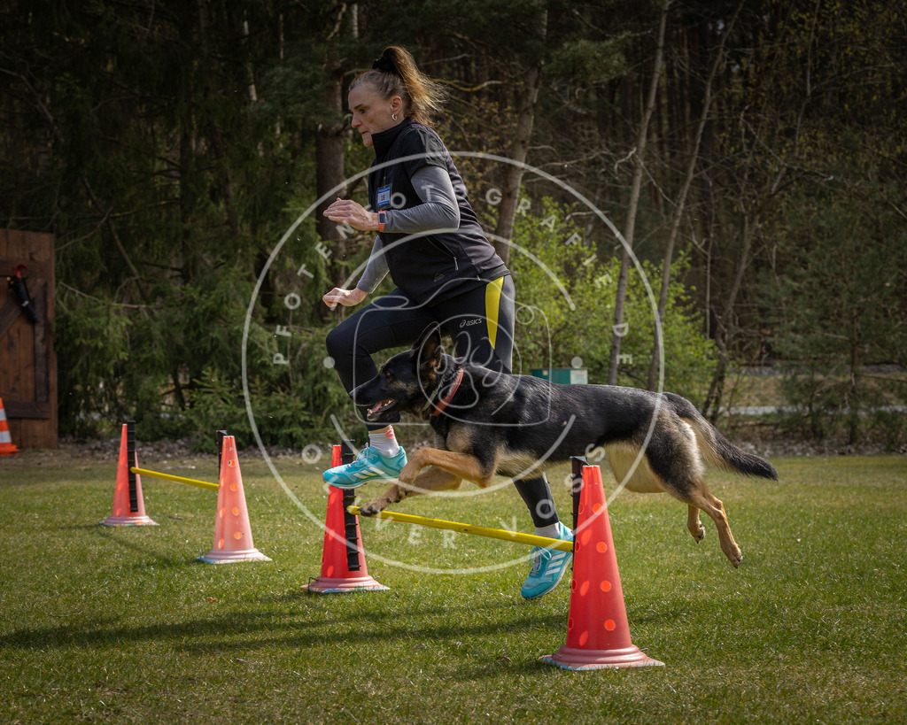 Pfotenfotografie_DV3A3335 | Hundefotografie, Tierfotograf, Pfotenfotografie, Fotoshooting Hund, Hunde Portrait, Hundesport, Hundeportraits, Heideshooting, Hunde, Sportfotograf, Hundefotograf, Turnierhundsport, THS,  - Realisiert mit Pictrs.com