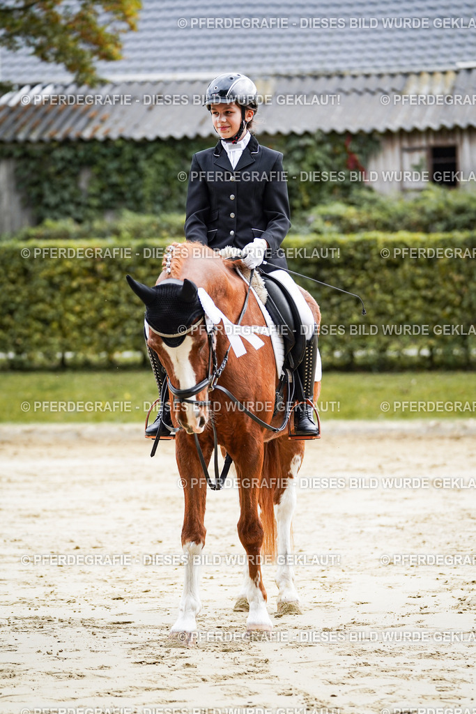 DSC05758 | Pferdegrafie