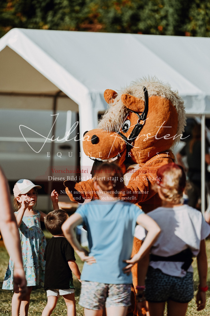 DSC_8913-2 | Pferde- und Turnierfotografie in Westsachsen. Pferdeportraits, Auftragszeichnungen und intuitive Kunst.