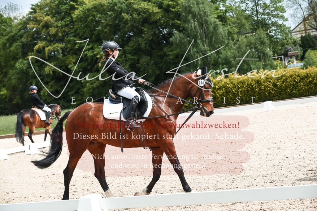 20230518_JK-Röhrsdorf-11-0117 | Pferde- und Turnierfotografie in Westsachsen. Pferdeportraits, Auftragszeichnungen und intuitive Kunst.