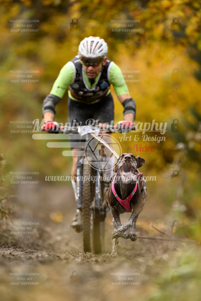 MompixPhotography_ICF_WC_2024_SA_Bike_-156 | PayLife