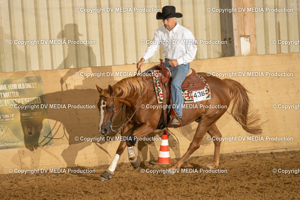 LAU00350 | dv-media-shop - Realisiert mit Pictrs.com