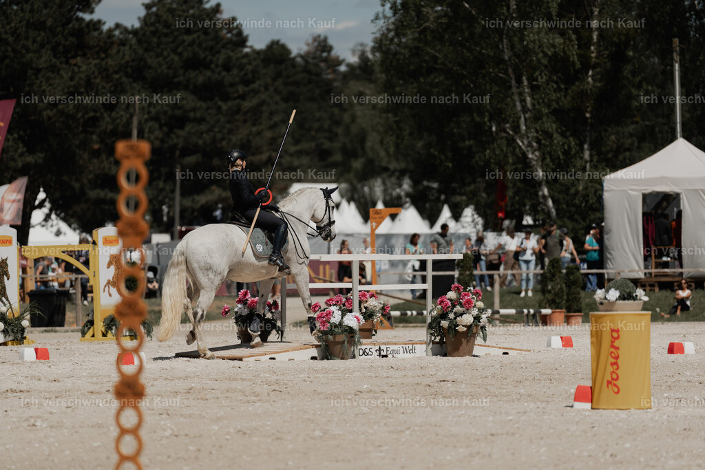 WE_ST_Stoib_331_PI2025_1412 | 330Pferd International München 2025