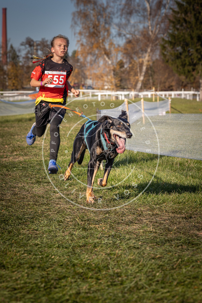 CaniXpix_0L8A7761 | Hundefotografie, Tierfotograf, Pfotenfotografie, Fotoshooting Hund, Hunde Portrait, Hundesport, Hundeportraits, Heideshooting, Hunde, Sportfotograf, Hundefotograf, Turnierhundsport, THS,  - Realisiert mit Pictrs.com