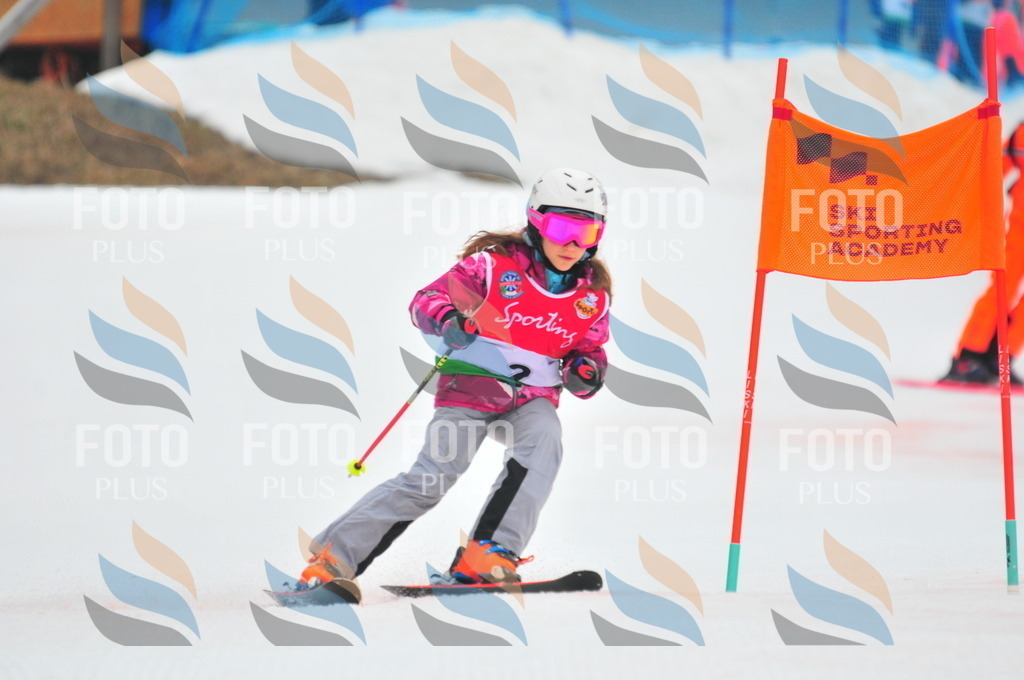 C0391 | holidayphoto