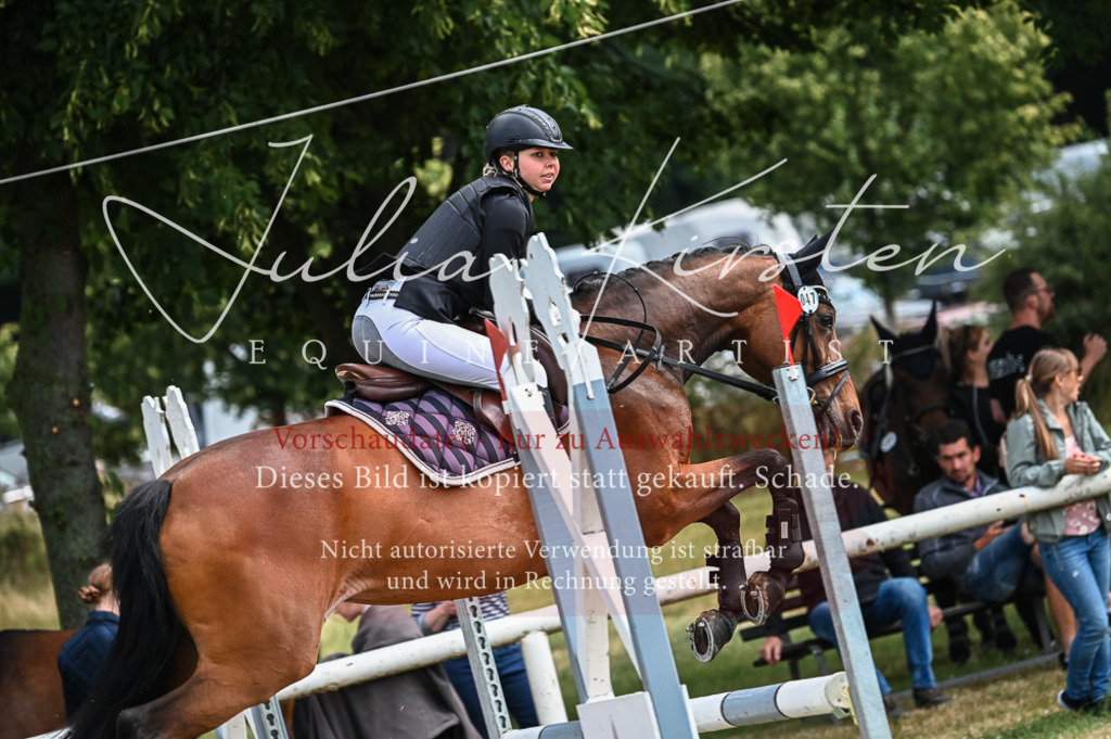 DSC_8415 | Pferde- und Turnierfotografie in Westsachsen. Pferdeportraits, Auftragszeichnungen und intuitive Kunst.