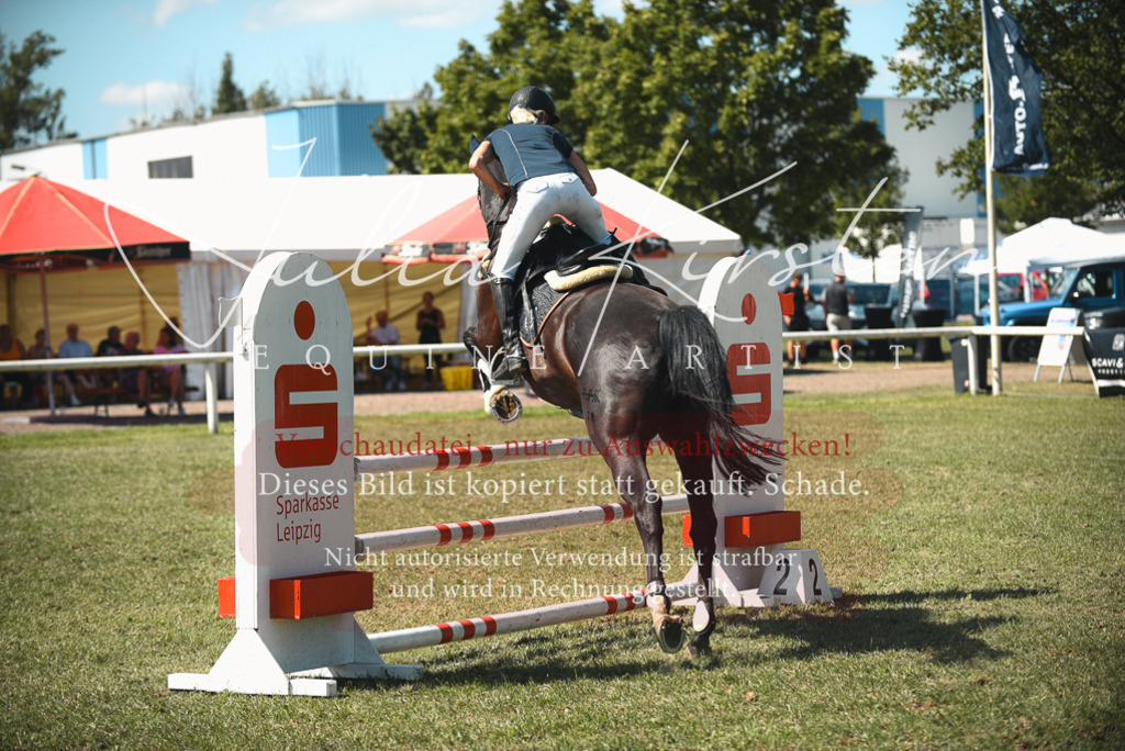 DSC_6919 | Pferde- und Turnierfotografie in Westsachsen. Pferdeportraits, Auftragszeichnungen und intuitive Kunst.