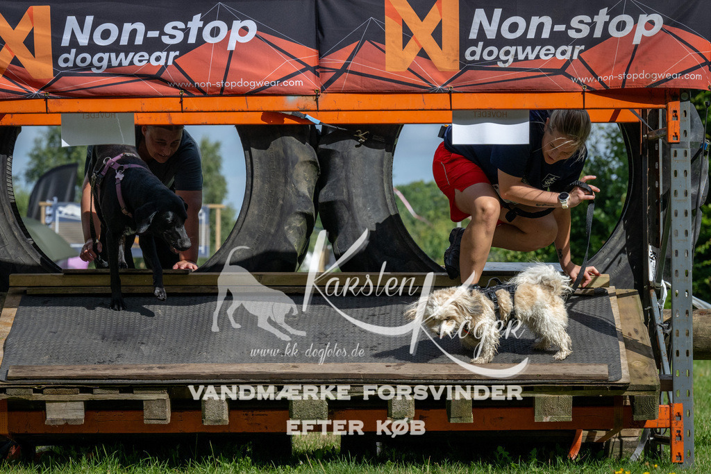 1113_ZZ92073 | kk-dogfotos
