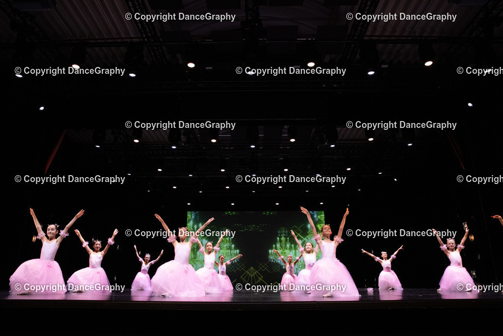 GPHY6749 | DanceGraphy - Realisiert mit Pictrs.com