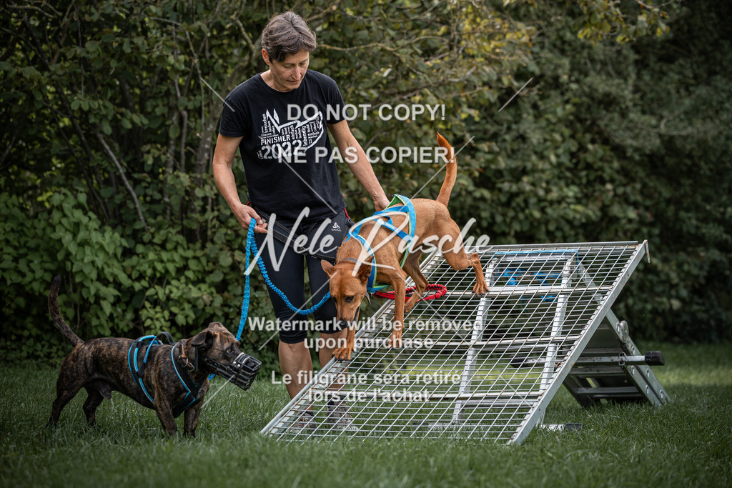 nelerasche_SoLauf_88 | nelerasche