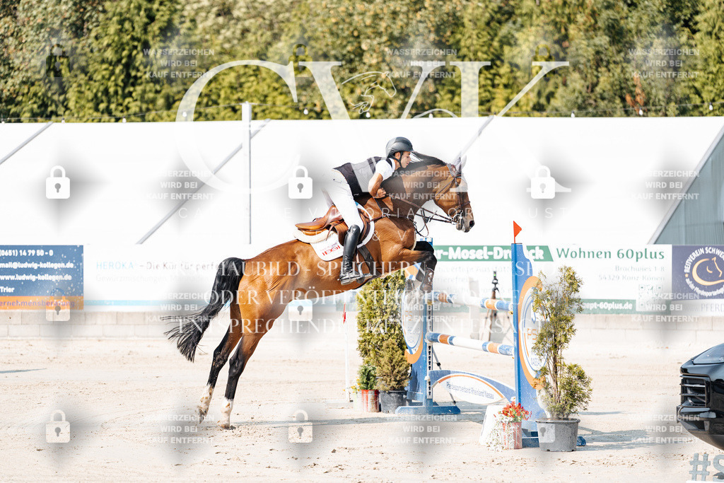 CK902090 | Turnierfotografie Pferdefotografie Trier Rheinland-Pfalz Pferdesport Reitsport Tierfotografie Sportfotografie Pferdevideo Pferdevideografie Equestrianvideography equestrianphotography  - Realisiert mit Pictrs.com