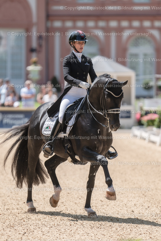 20230528_03_GP-Special-Tour_0252 | equistock