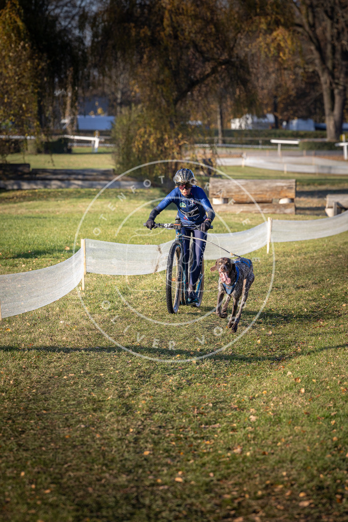 CaniXpix_DV3A1725 | Hundefotografie, Tierfotograf, Pfotenfotografie, Fotoshooting Hund, Hunde Portrait, Hundesport, Hundeportraits, Heideshooting, Hunde, Sportfotograf, Hundefotograf, Turnierhundsport, THS,  - Realisiert mit Pictrs.com