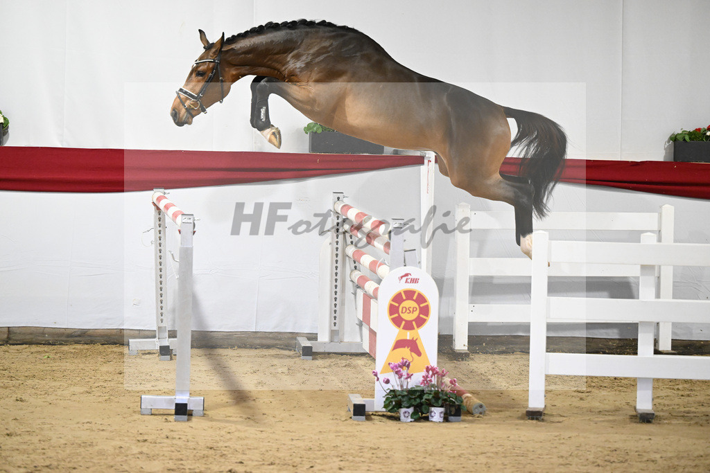 Kat-Nr. 31 v. Comme il faut NRW_Seiger_63220863 | hf-fotografie - Realisiert mit Pictrs.com