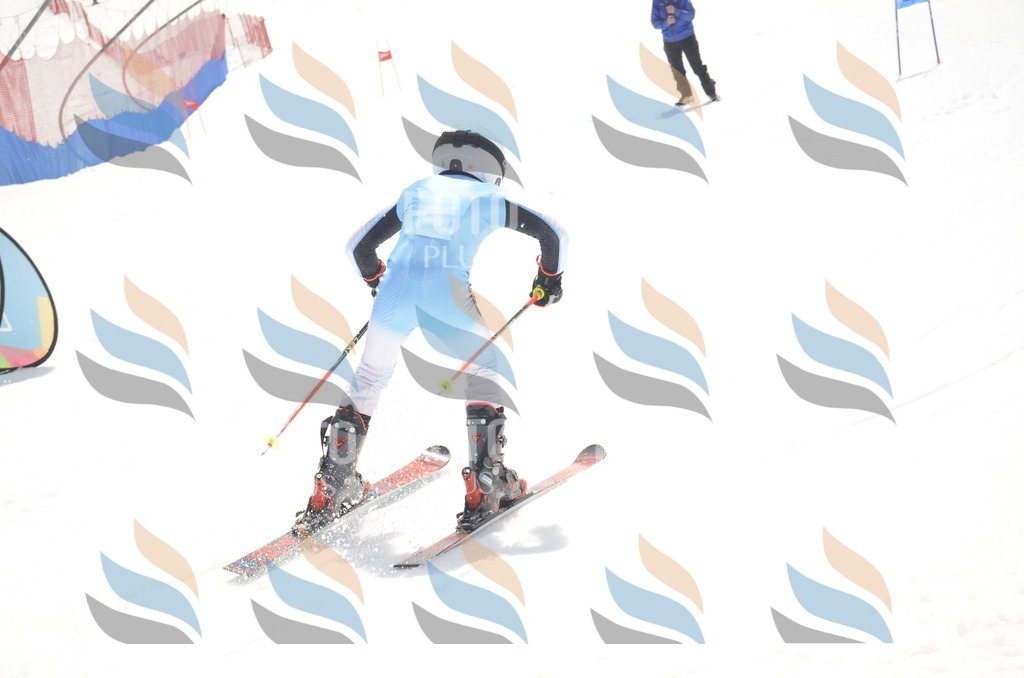 _ELE8558 | holidayphoto