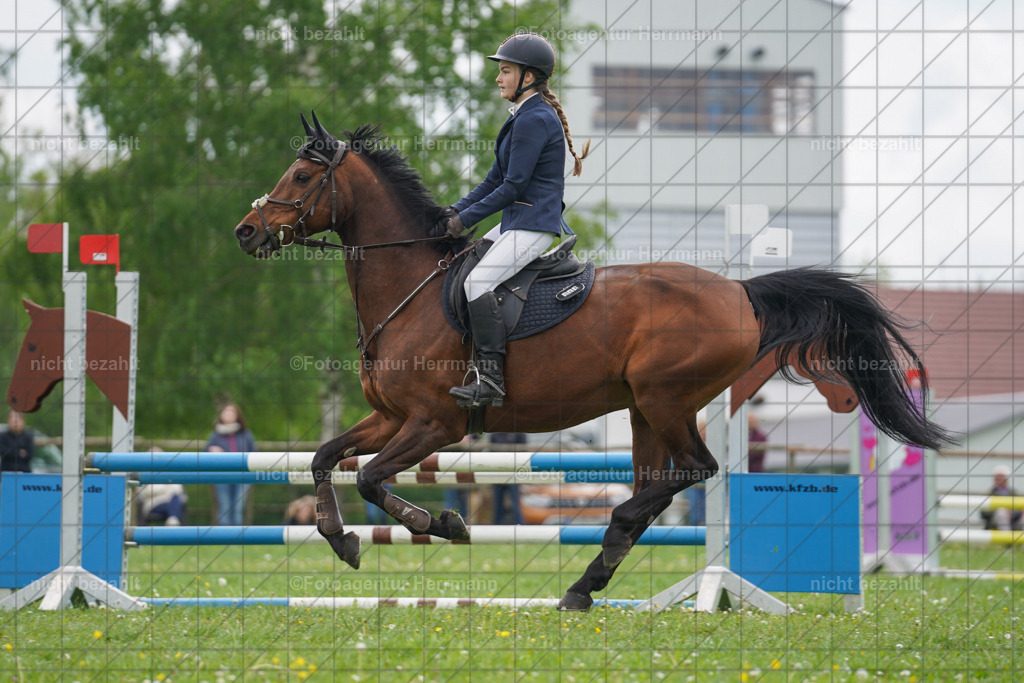 20240509-FAH02649 | Turnierbilder der Turnierfotografen Bayern, Pferdesport Fotografie, Reitsportbilder, Turnier Landberg am Lech, Turnierbilder bayern, Fotoagentur Herrmann