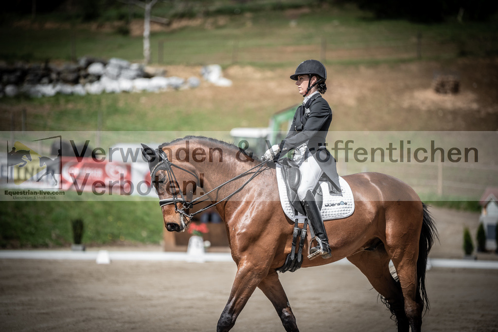 DSC_1827 | equestrian-live-com
