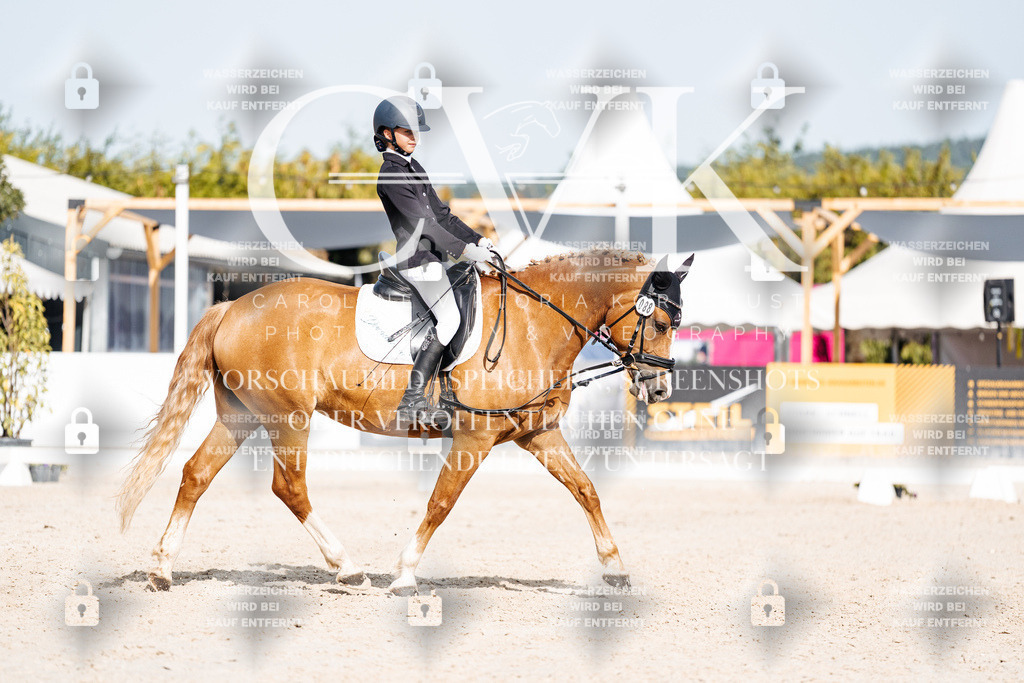 CK905354 | Turnierfotografie Pferdefotografie Trier Rheinland-Pfalz Pferdesport Reitsport Tierfotografie Sportfotografie Pferdevideo Pferdevideografie Equestrianvideography equestrianphotography  - Realisiert mit Pictrs.com